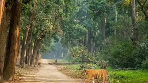 JIM CORBETT